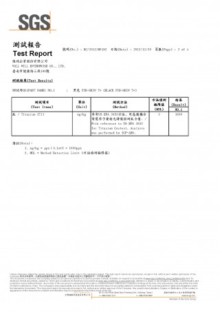 SGS Bericht (2)