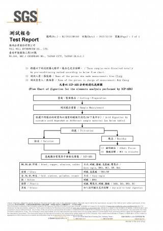 SGS Report (3)